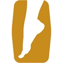 Tampa Foot Doctor logo