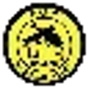 Ray's Sporting Goods logo