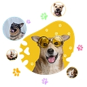 Ruby's Pet Resort logo