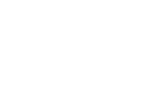 LSA Oils logo