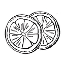 Love & Zest logo