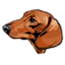 Chapman's Dachshund Rescue logo