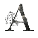 Amanda Cook logo