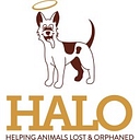 Halo K9 Behavior Consultation logo