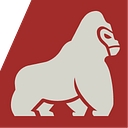 Dutch Kills Fitness logo