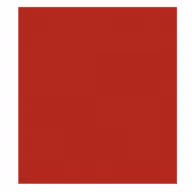 Holtec International logo
