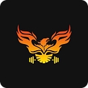 Body Shaping Company logo