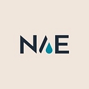 New Age Environmental logo