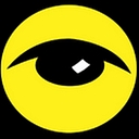 Northeast Security Solutions logo