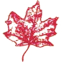 Kale Lawn Care logo