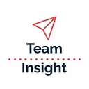 Team Insight logo