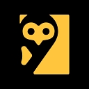 Vidillion logo