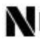 NGT Academy logo