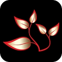 Bravo Tea logo