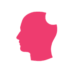 deliciousbrains.com favicon