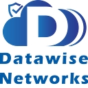Datawise Networks logo