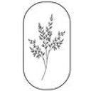 Framed Florals logo
