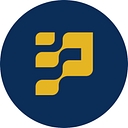 Payer Law Group logo