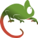 Chameleon Beach logo