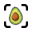 nutrola.app favicon