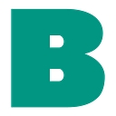 Badger Daylighting logo