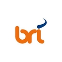 Brownrice Internet logo