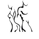 Vital Health and Body logo