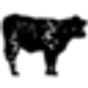 Florida Premium Beef logo
