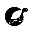 10Turtle logo
