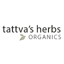 Tattva's Herbs logo