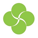 Evolve Solutions logo