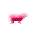 Born & Raised logo
