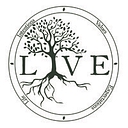 LFY Consulting logo