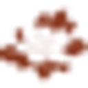 Davis Watkins Funeral Homes & Crematory logo