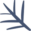 Whistle Willow logo