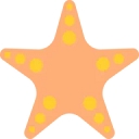 Starfish Early Learning Centre logo