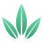 Budy logo