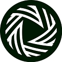 VideoNest logo