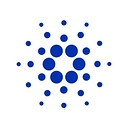 developers.cardano.org favicon