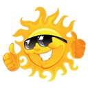 Solar Tint Service logo