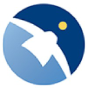 Voluntis logo
