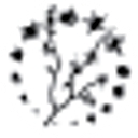 Old Town Herbal logo