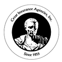 The Cesar Group logo