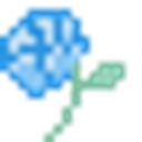 Blooming Bouquet logo