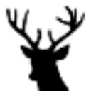 Kingsley Locks logo