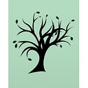 Nexus Teen Academy logo
