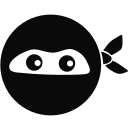 Digital Ninjas logo