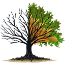 Ozark Recovery Center logo
