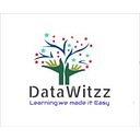 Datawitzz logo