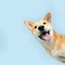 Adorable Do's Pet Grooming logo